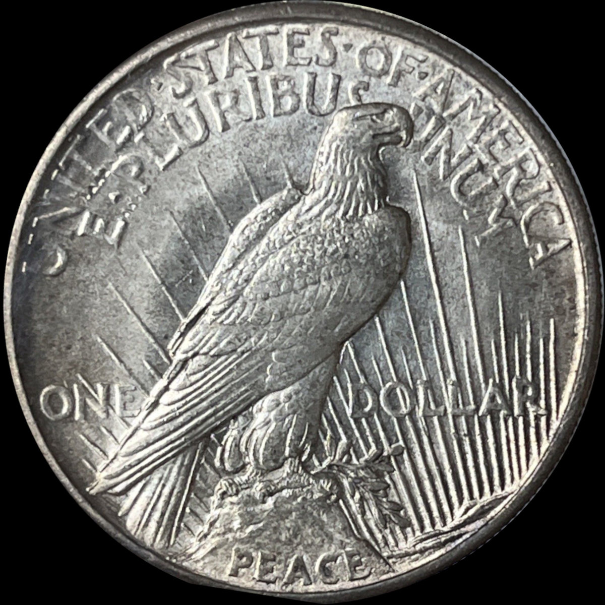 1921-$1-Peace-Dollar-#2